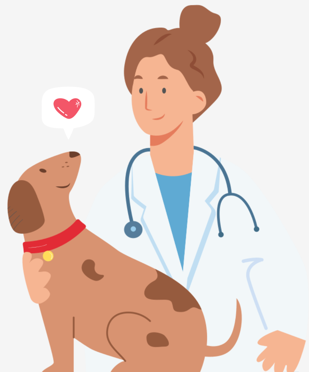 Veterinarian in San Diego, CA - Black Mountain Animal Hospital