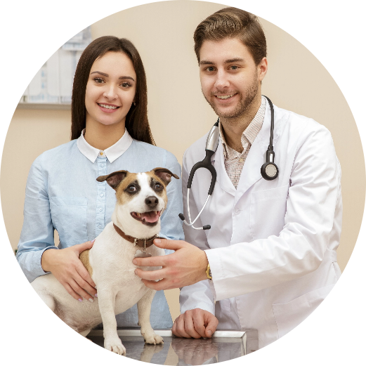 Black Mountain Animal Hospital|new-home