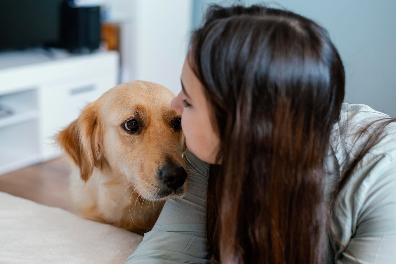 Pet Anxiety