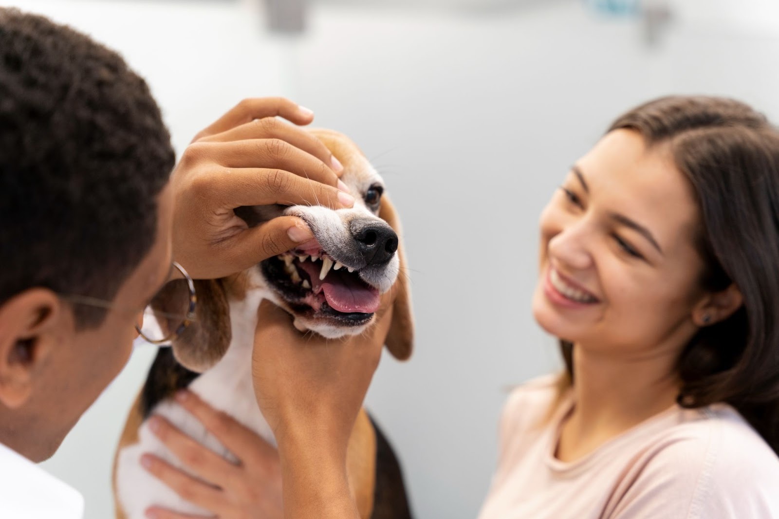 Pet Dental Care