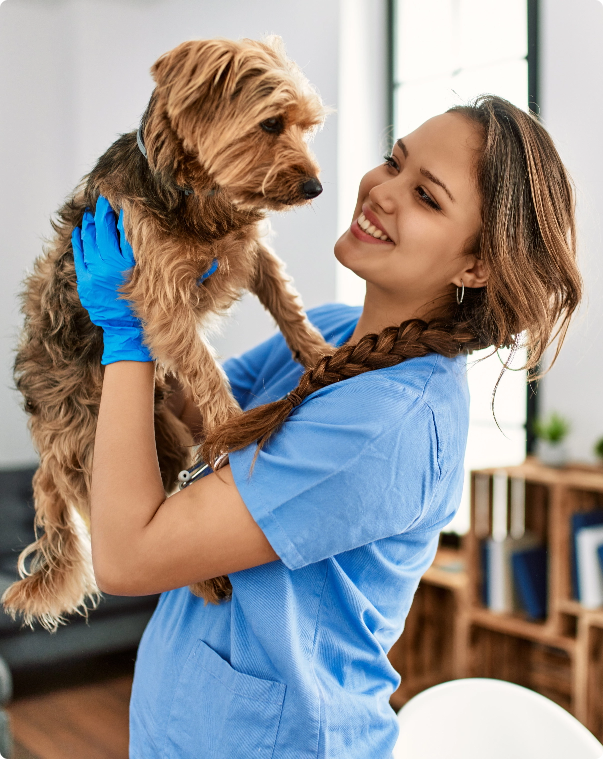 Black Mountain Animal Hospital|Urgent Care