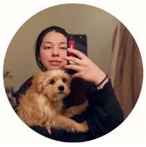 Black Mountain Animal Hospital | Dog Vet RPQ-25-OFF