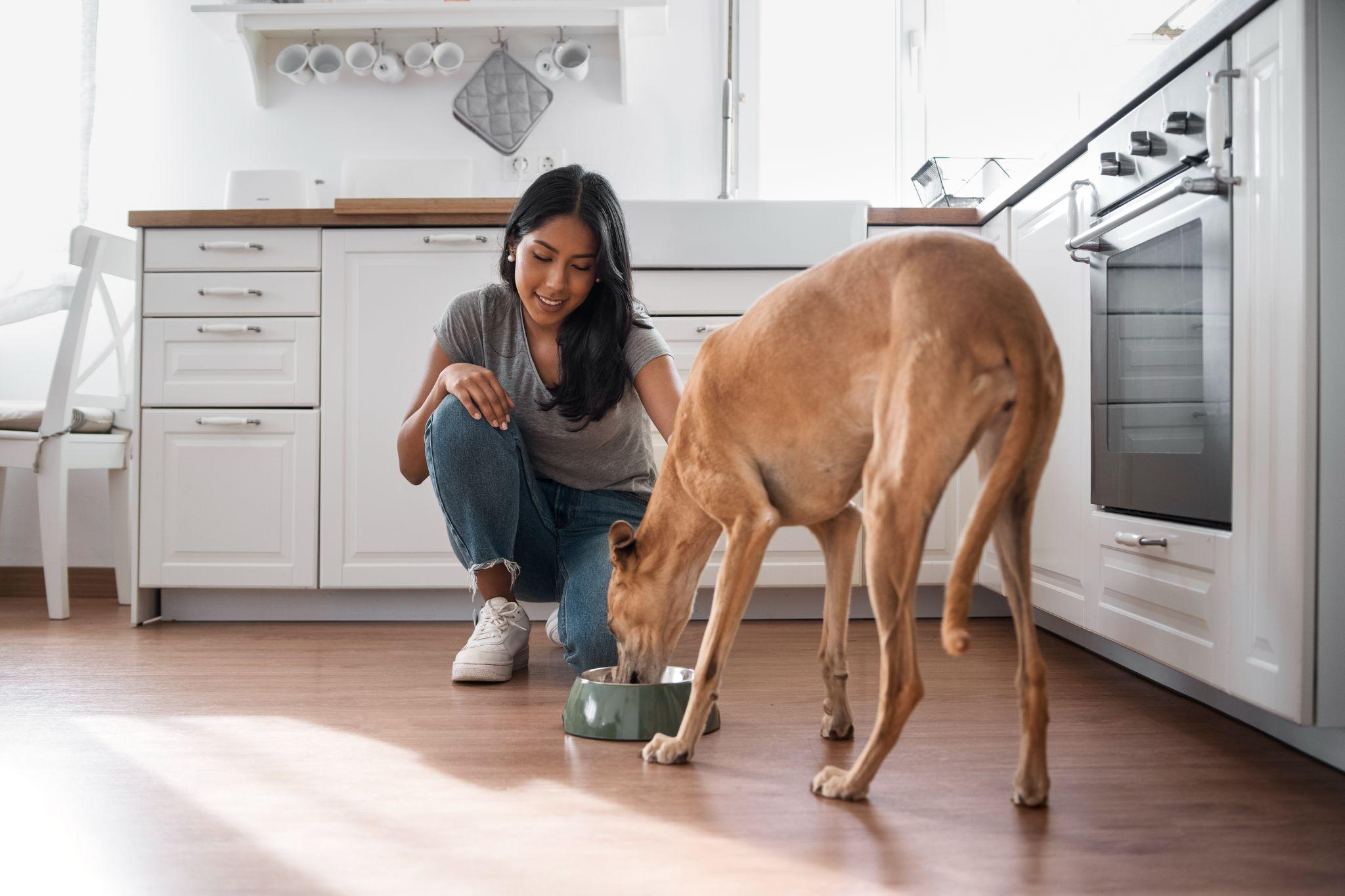 Pet Nutrition