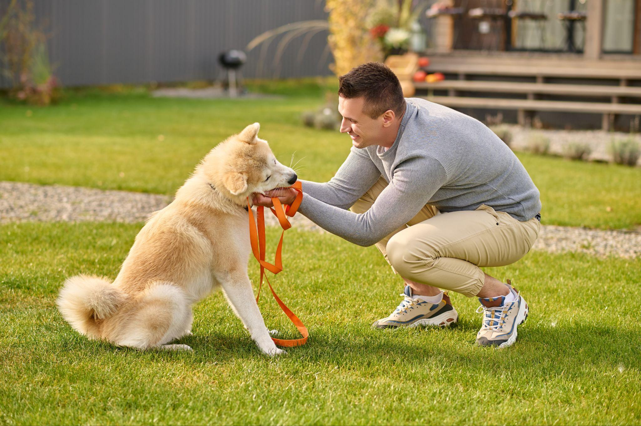 Pet Behavior