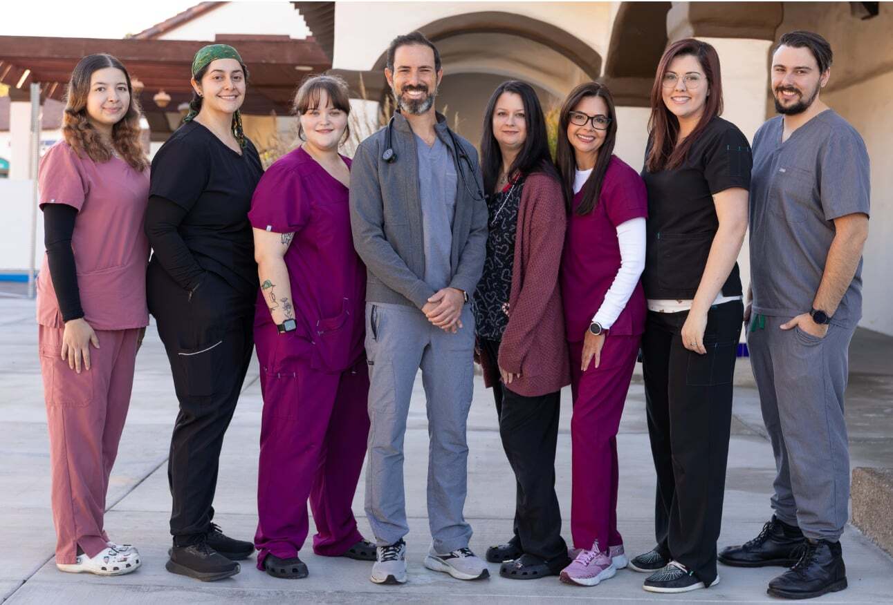 Black Mountain Animal Hospital | Elementor Homepage