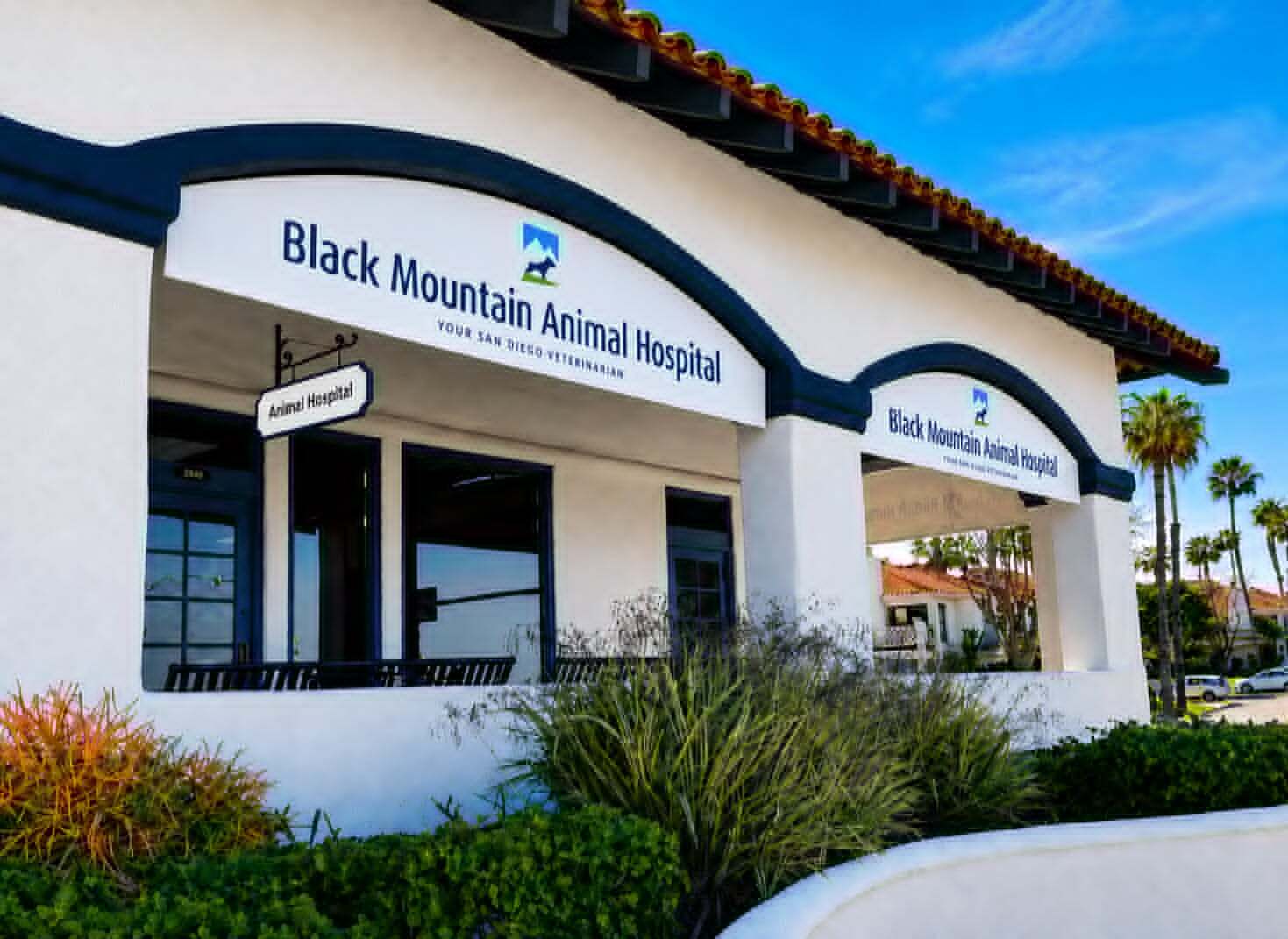 Black Mountain Animal Hospital | Elementor Homepage