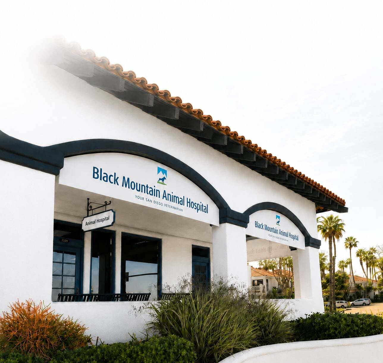Black Mountain Animal Hospital | Elementor Homepage